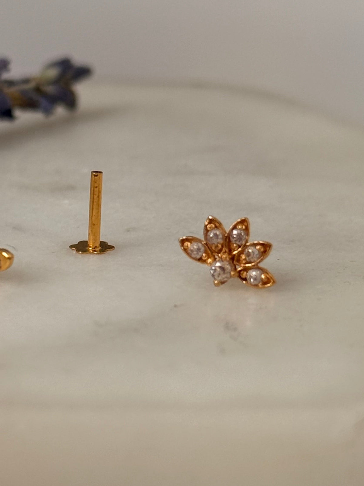 Mayfair Collection | Le’Lotus