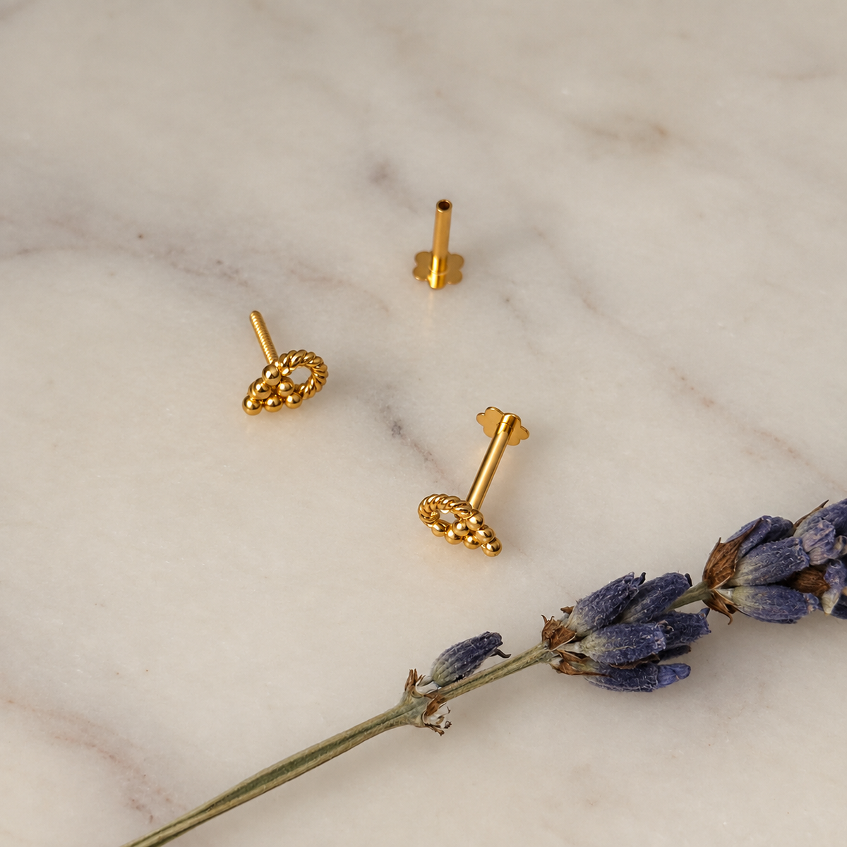 Autumnal Collection | Petite Amara